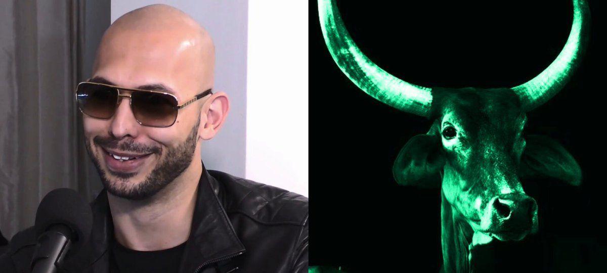 Andrew Tate's DADDY Memecoin Rallies Amid Legal Battles