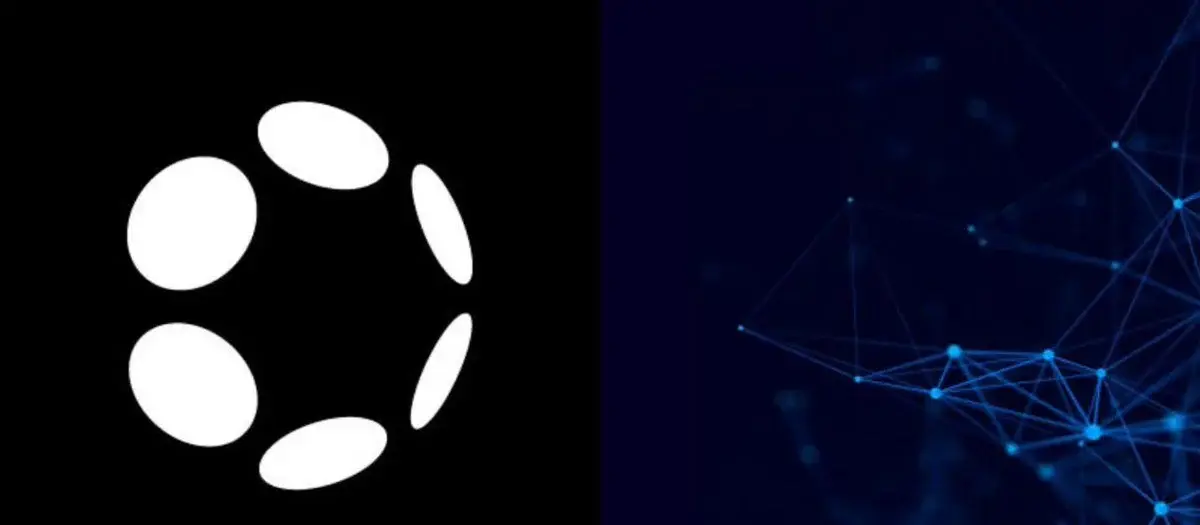 This Polkadot activity metric will shock you