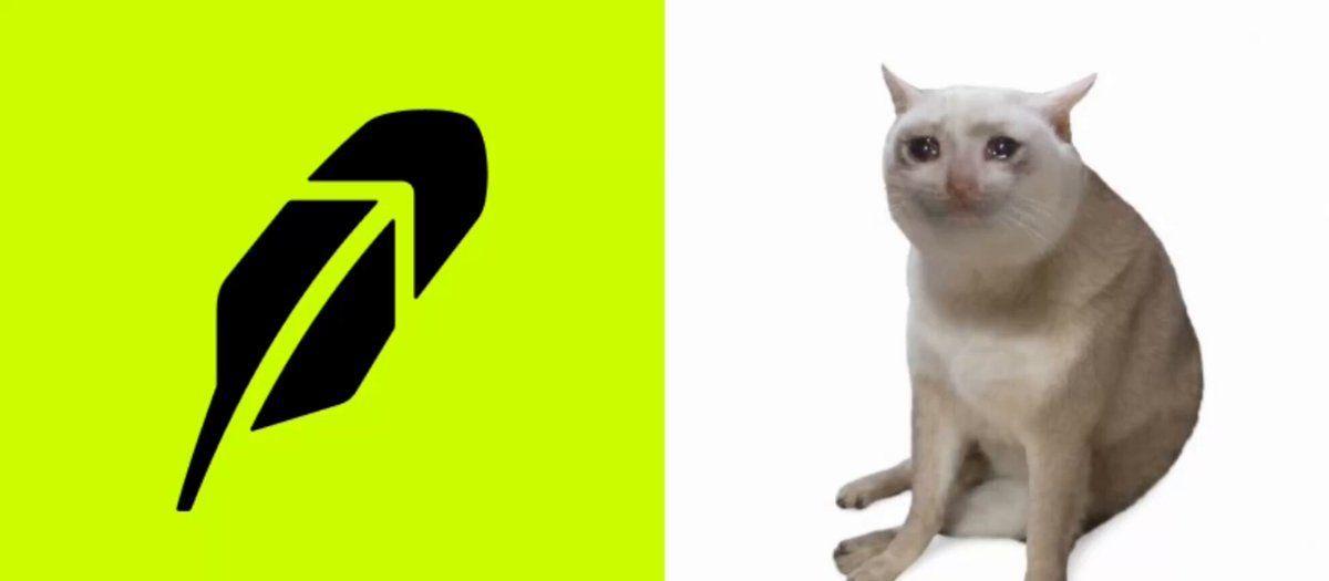 Robinhood U.S. Lists CashCat For Spot Trading