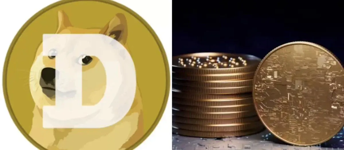 DOGE shows resilience despite price decline