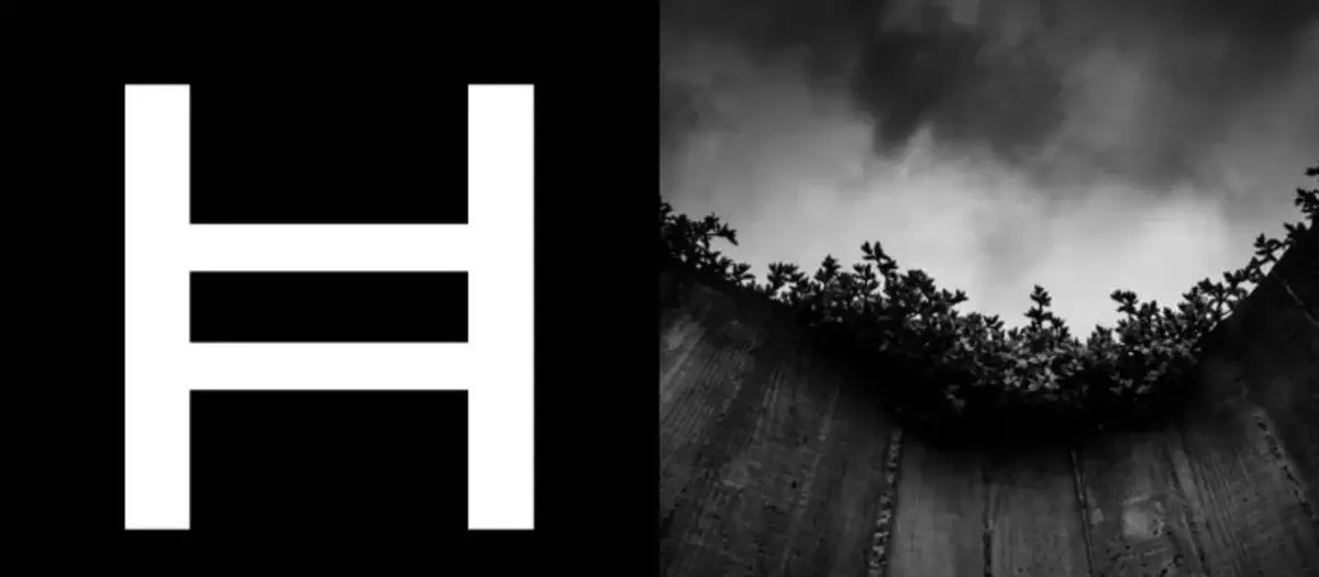 Hedera Network is booming!