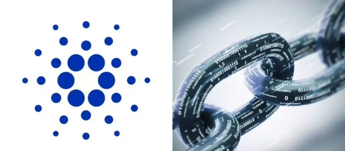 Cardano's on-chain DEX volume is heating up