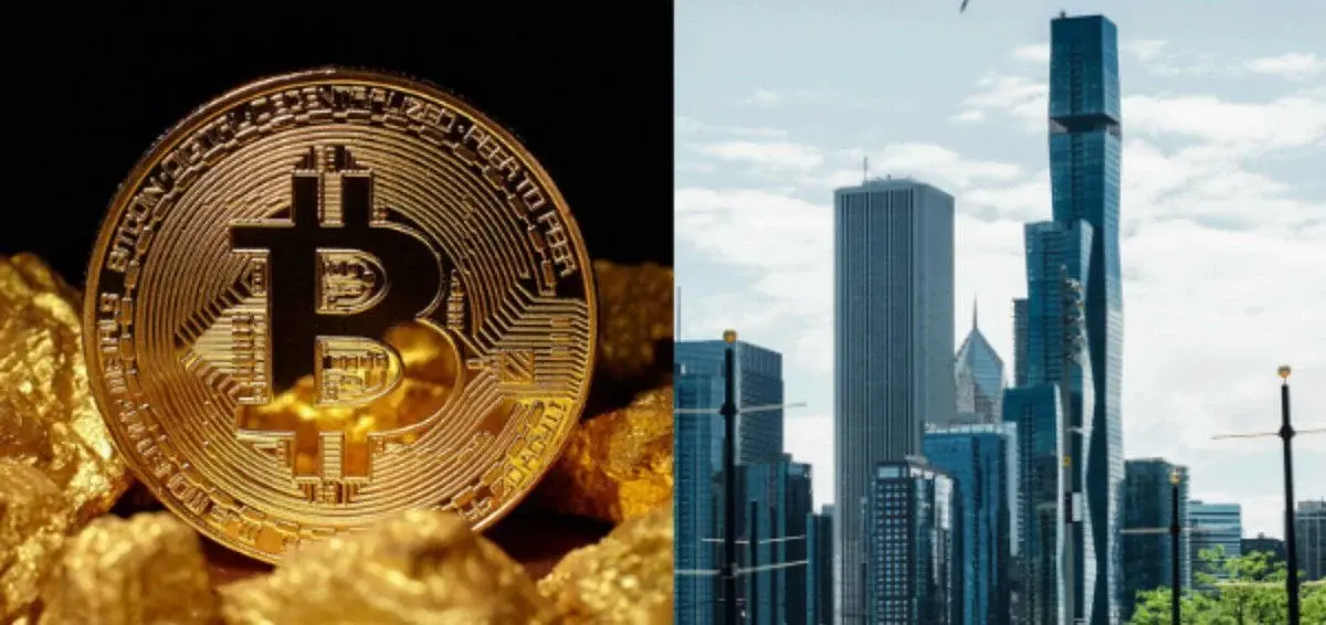 Bitcoin treasury holdings split unevenly across public companies, private firms and states