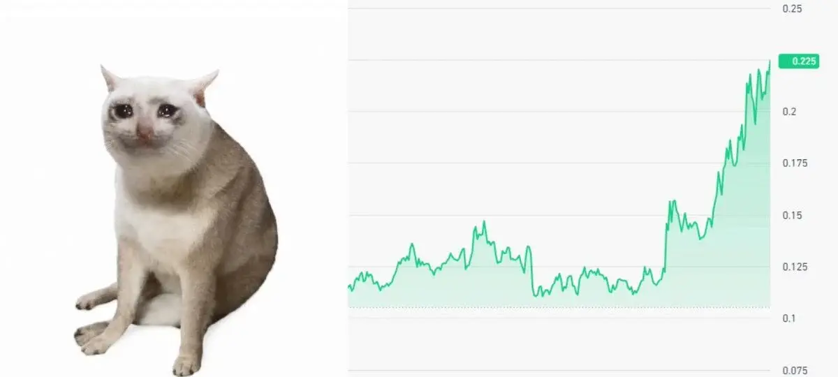Cashcat Just Hit a New All-Time High