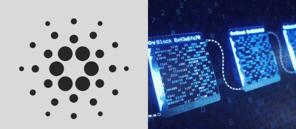Cardano Secures Supply Chain Records For Blockforce Traceability Platform
