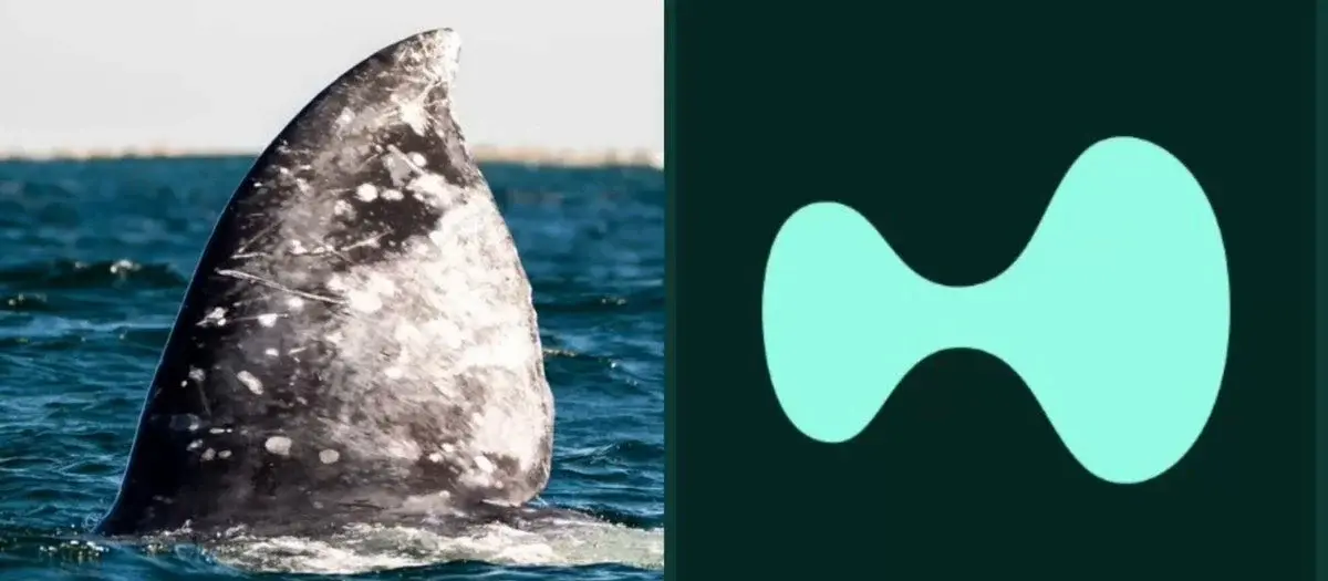 This whale keeps stacking HYPE