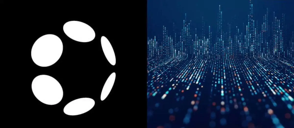 Polkadot Devnet Is Driving Network Activity