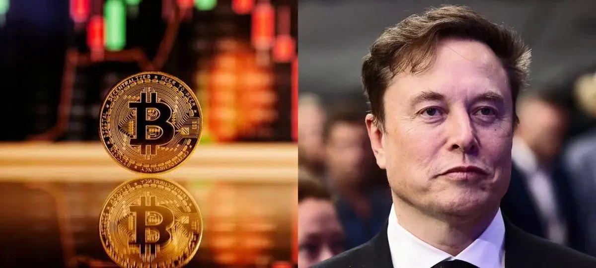 Bitcoin Moves Ahead of Elon Musk's Tesla