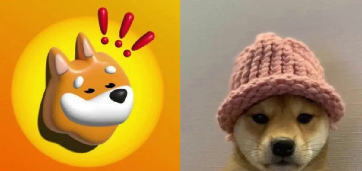 Solana's dog coins are off the leash this week