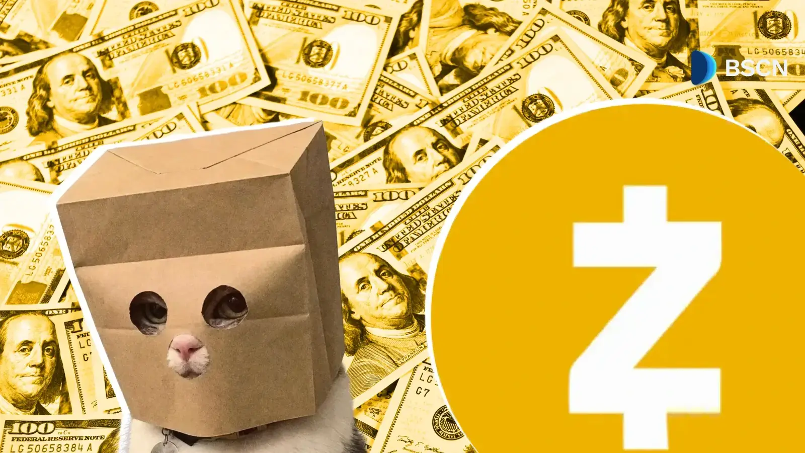 What is Anonymous Cat (ZCAT)? Inside The Memecoin Paying Holders in Zcash